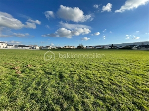 terrain a batir à la vente -   08160  NOUVION SUR MEUSE, surface 19818 m2 vente terrain a batir - UBI438740153